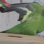 Startfreigabe!