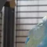 Gääääähhhhhn