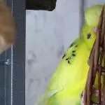 Sehen und gesehen werden