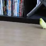 Nicht bestanden