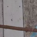 Der Drache zeigt Zähne