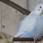 Lila ist sooooo schön