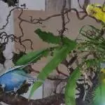 Recken und Strecken