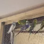 Wir passen alle ans Fenster