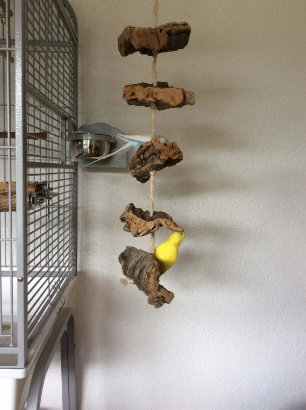 Wellensittich-Bild: Tweety und Justus am Kork knabbern