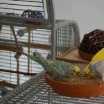 Gemeinsames Frühstück