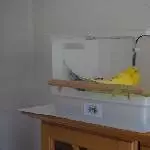 Tweety und Tala duschen