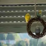 Tala und ihre Leibwächter