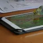 Luna spielt Hay Day