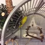 Der gehört mir