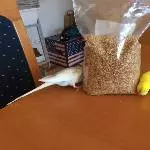 Wir haben Hunger