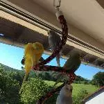 Blick aus dem Fenster