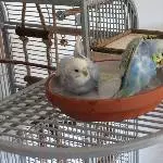 Luna und Tala