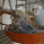 Tala und Justus beim Badeunfall