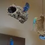 Mimi ist im Anflug