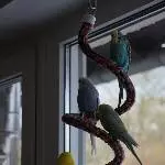 Gruppenbild auf der Seilspirale