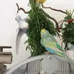 Tala und Justus baden