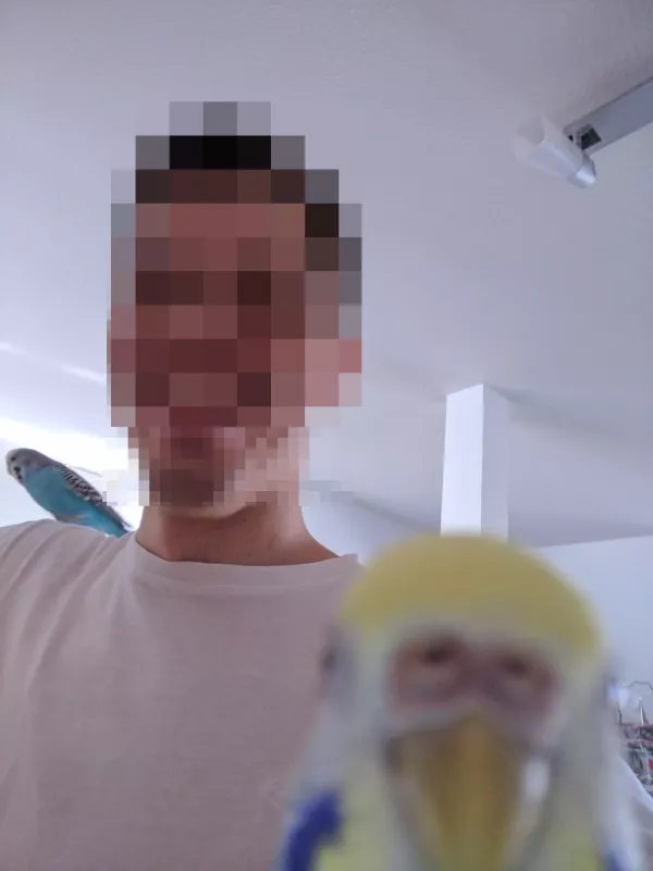 Wellensittich-Bild: Mia muss wieder in die Kamera beissen