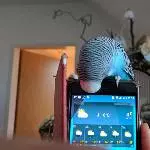 Rambo auf dem Handy
