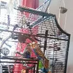 Nicky und Leila