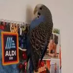 Leila unsere Hübsche