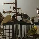 Eine kleine Pause muss sein