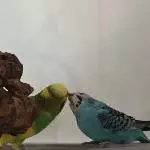 Ertappt! Michi und Henriette beim Knutschen