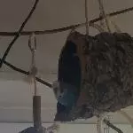 Krümmel in der Röhre