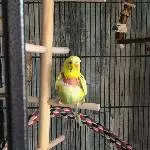 Unsere neue Nummer 13 - Lilly