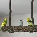 Männerrunde