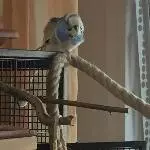 Anton macht Yoga