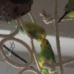 Dori und Michi in Love