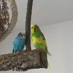 Der Kleine und der Große!