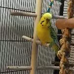 Sunny bringt Farbe ins Bild