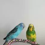 Henriette und Michi