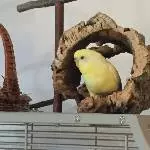 Flocke ganz stolz!