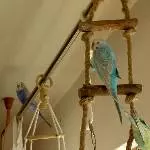 Frau Blau