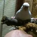 meine Kleine \