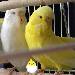 Loona und Sunny zu Ostern