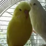 Luna und Sunny