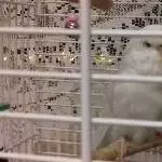 Meine Prinzessin Loona  1