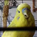 Buby schmeckt es
