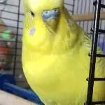 Noch mal in pose setzte
