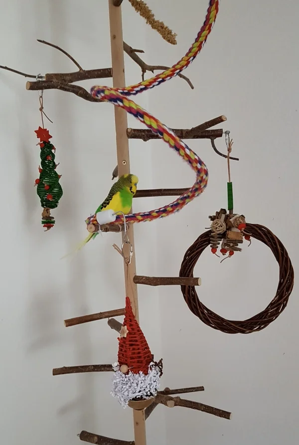 Wellensittich-Bild: Elvis lässt sich von der Weihnachtsdeko nicht beeindrucken. Er chillt an seinem Lieblingsplatz. 