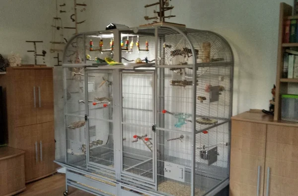 Wellensittich-Bild: Ein langer Tag geht zu Ende. Heute wurde der Palace II geliefert, aufgebaut, eingerichtet und ganz freiwillig von den Wellis bezogen. Alle Mühe hat sich gelohnt. Die Voli ist der Hammer und es ist ein Traum zu sehen, wie gut es den Rackern gefällt. Nun brennt ein Nachtlicht und alle schließen die Augen ... Gute Nacht ...