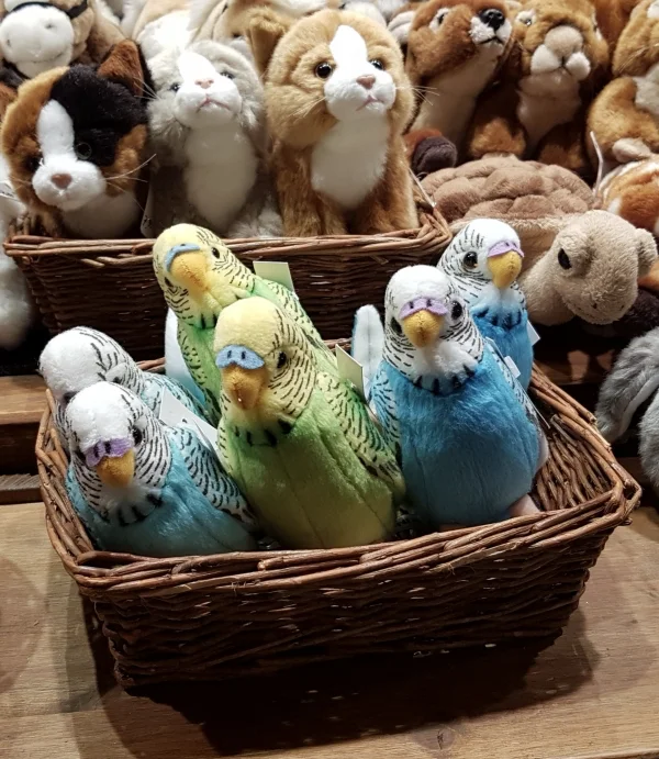 Wellensittich-Bild: Diese Nestlinge wurden auf dem Weihnachtsmarkt zum Kauf angeboten. Der Händler gibt sie nur paarweise ab. Sehr vorbildlich. 