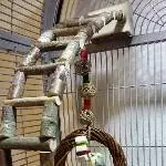 Erwischt - Innenarchitektin bei der Arbeit