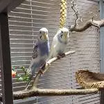 Claire und Bella
