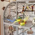 Quellfutterbuffet in der Welliburg
