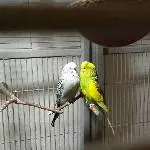 Zwischen uns Zwei passt kein Blatt